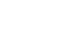 Wild Horizon Logo