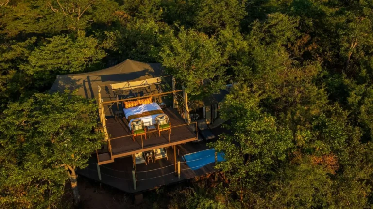 Elephant Camp Suites, Star Bed Suite