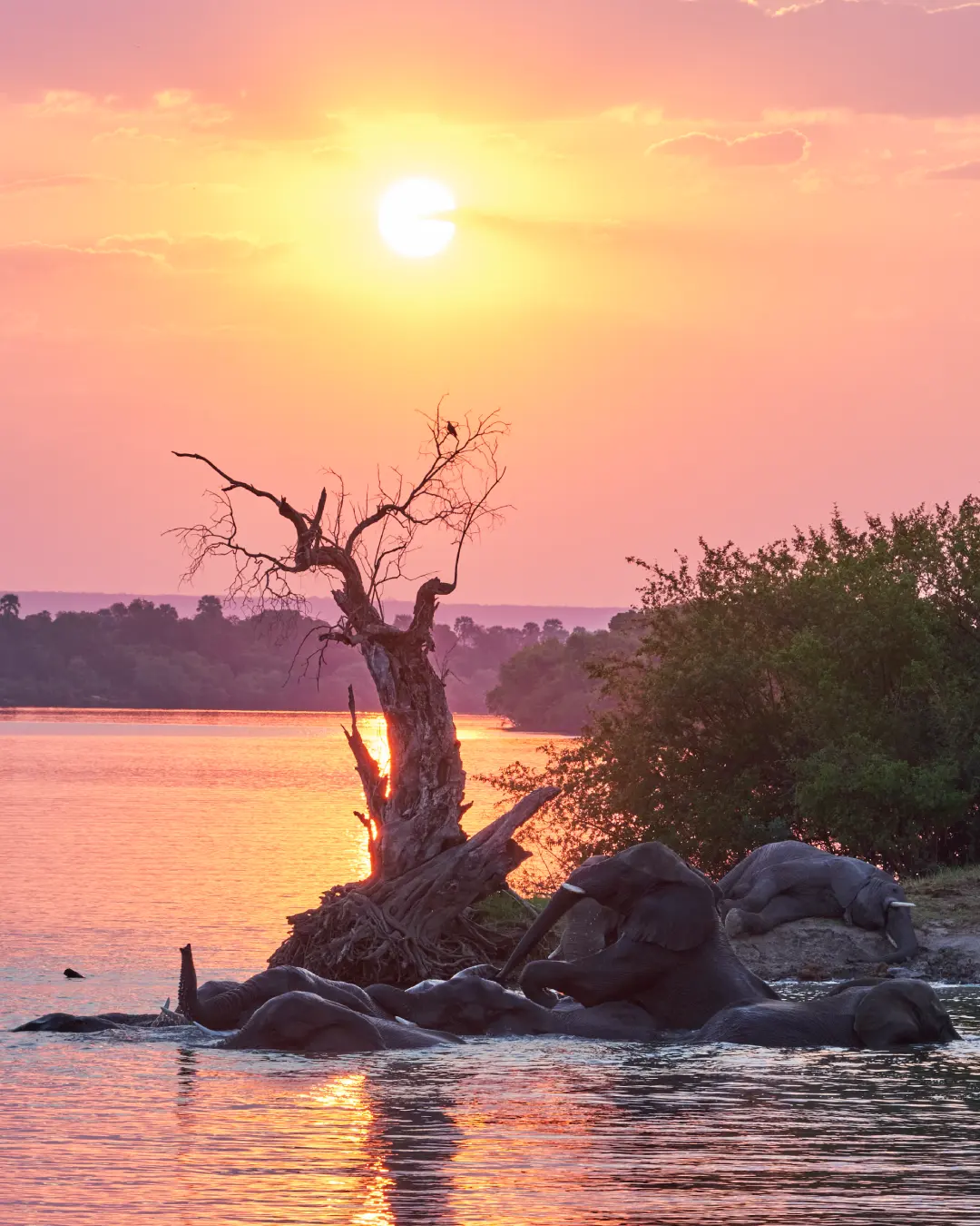 Sunset over the Zambezi River viewed from Old Drift Lodge, Zambezi National Park, Zimbabwe