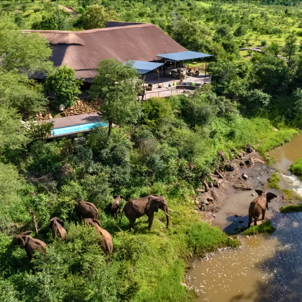 Aerial view of The Wallow lodge with Elephants walking by