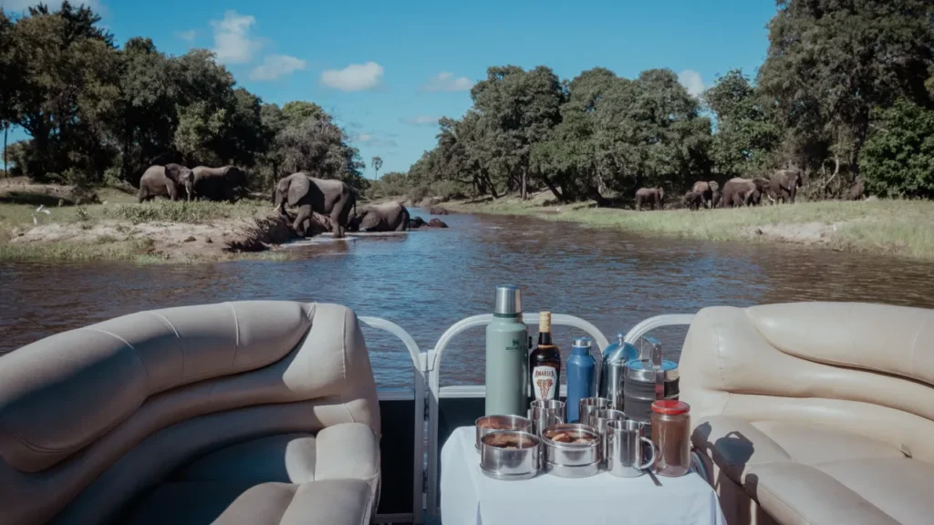 Zambezi River safari boat passing elephant herd near Old Drift Lodge, Victoria Falls