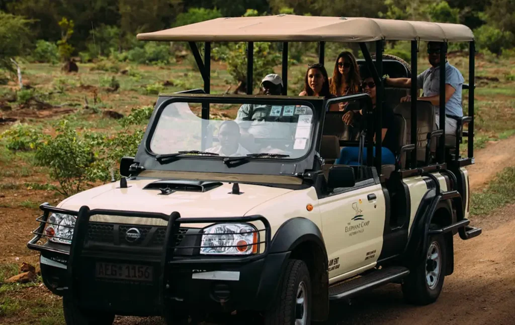 Safari game drive in Zambezi National Park Victoria Falls Zimbabwe