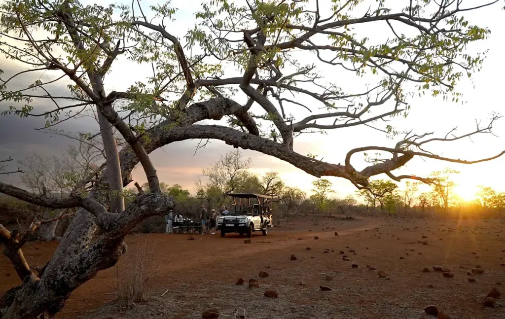 Open game vehicle with guests watching a herd of elephants by the Zambezi River at sundown