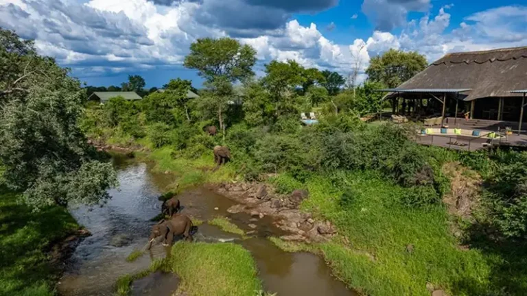 The Wallow Lodge in the Wild Horizons Wildlife Sanctuary, Victoria Falls