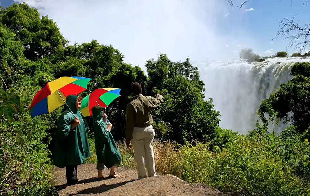 Guide and guests at one of the numbered viewpoints — Falls curtain in background, mist catching light, rainforest framing. Early morning or overcast light preferred.