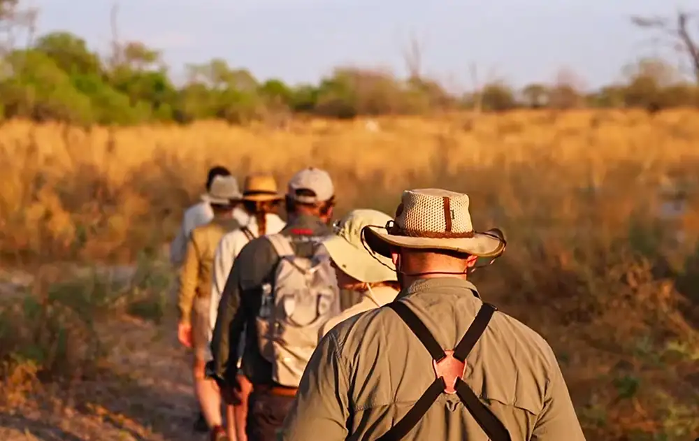 Professional guide leading guests on foot through Zambezi National Park — river visible, riverine bush, natural light. Unposed and documentary in feel.