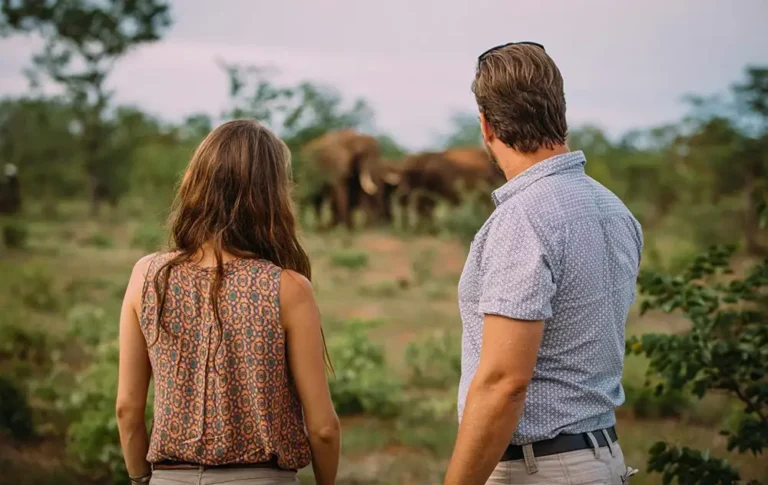Guests observing or near the elephant herd in the sanctuary — natural behaviour, unposed, respectful distance. Avoid any imagery suggesting riding or performance.