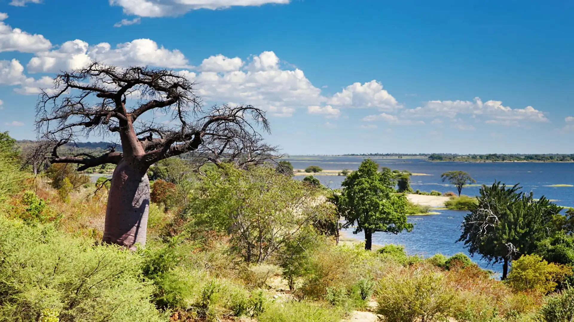 Chobe day trip with lunch cruise on the Chobe River – Magnificent Chobe Vistas -