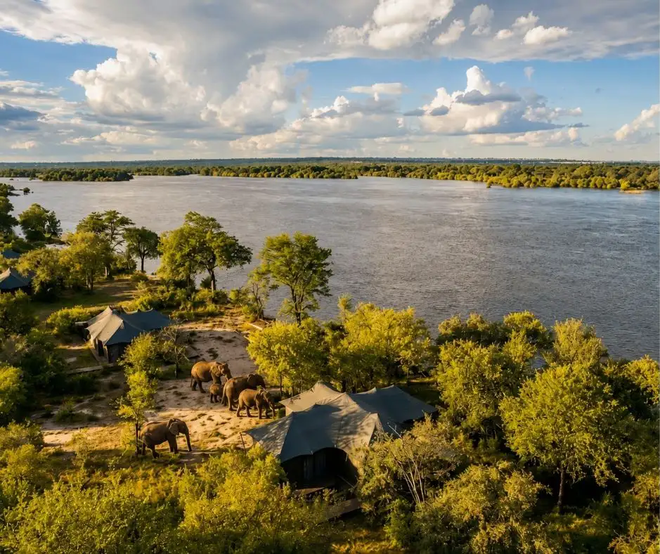 An elephant at the water’s edge on the Zambezi in front of Old Drift Lodge