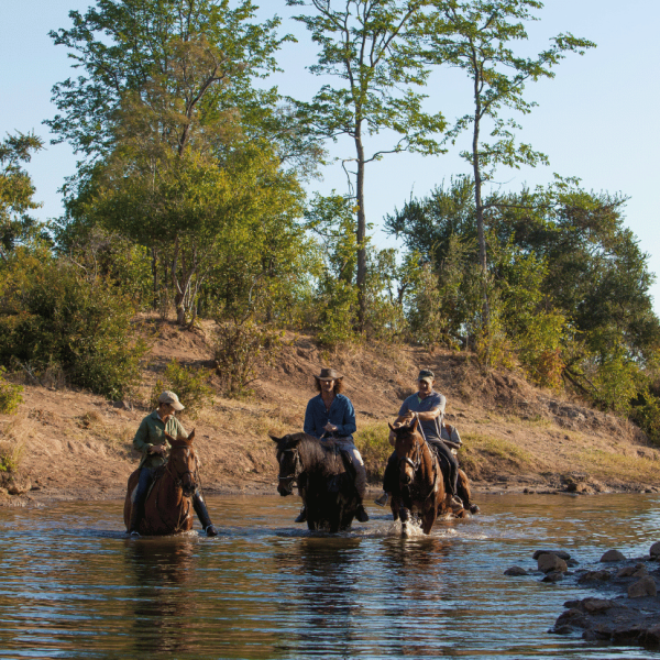 Zambian Horseback activity synopsis template 885 by 828-3