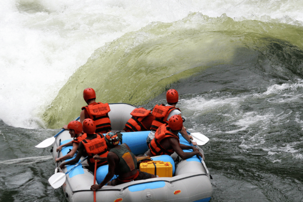 activity synopsis 885 by 828 (79)